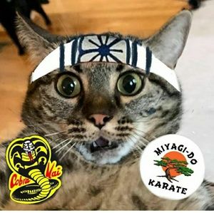 Meet your Posher, Alix